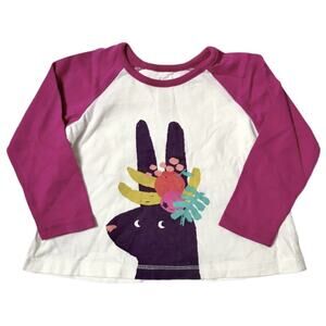 Tea Collection Fruit Bunny Raglan Tee 12m